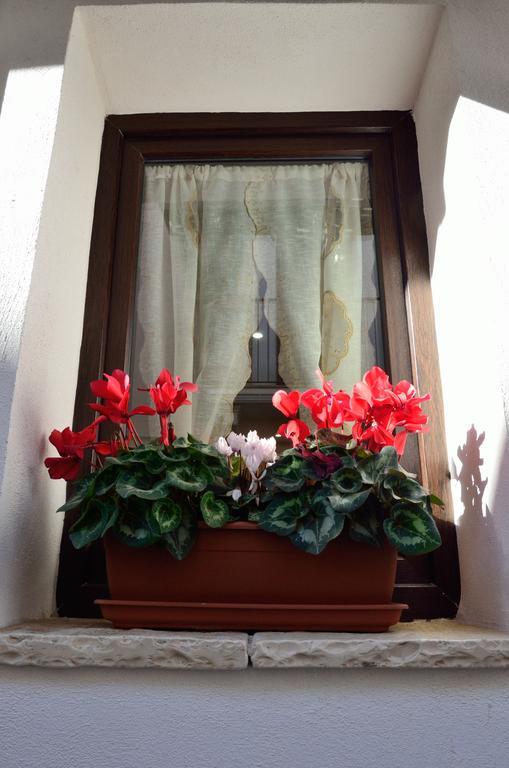 Dependance Ludovica Bed & Breakfast Termoli Eksteriør bilde